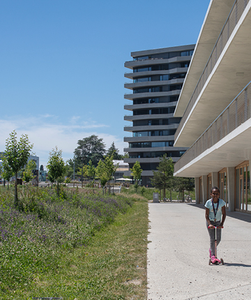 Ecoquartier - Les Vergers