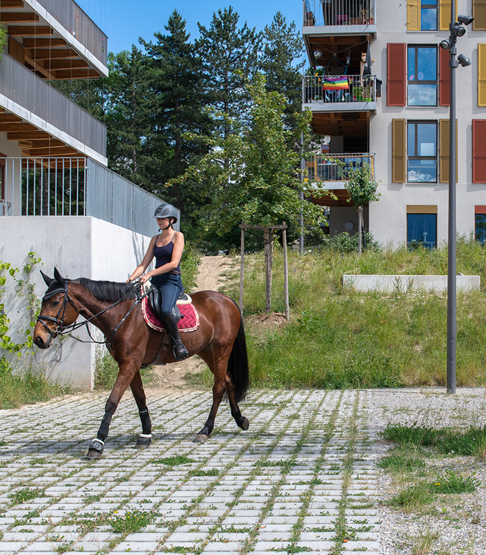 Ecoquartier - Les Vergers