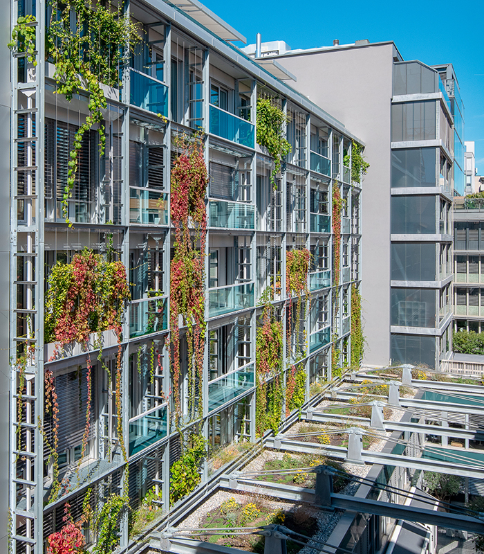 Façades Rue du Nant