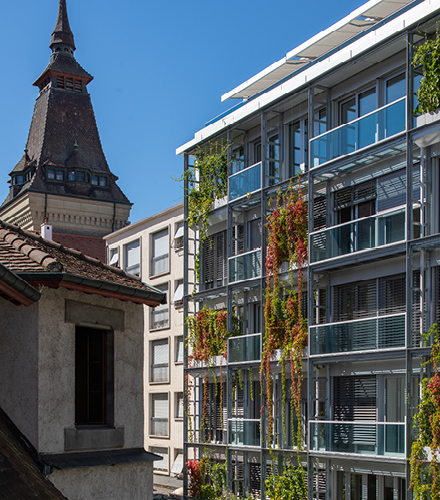 Façades Rue du Nant