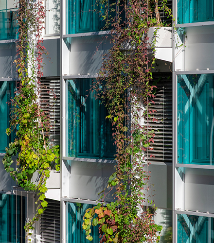 Façades Rue du Nant
