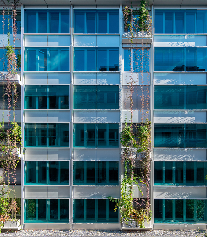 Façades Rue du Nant