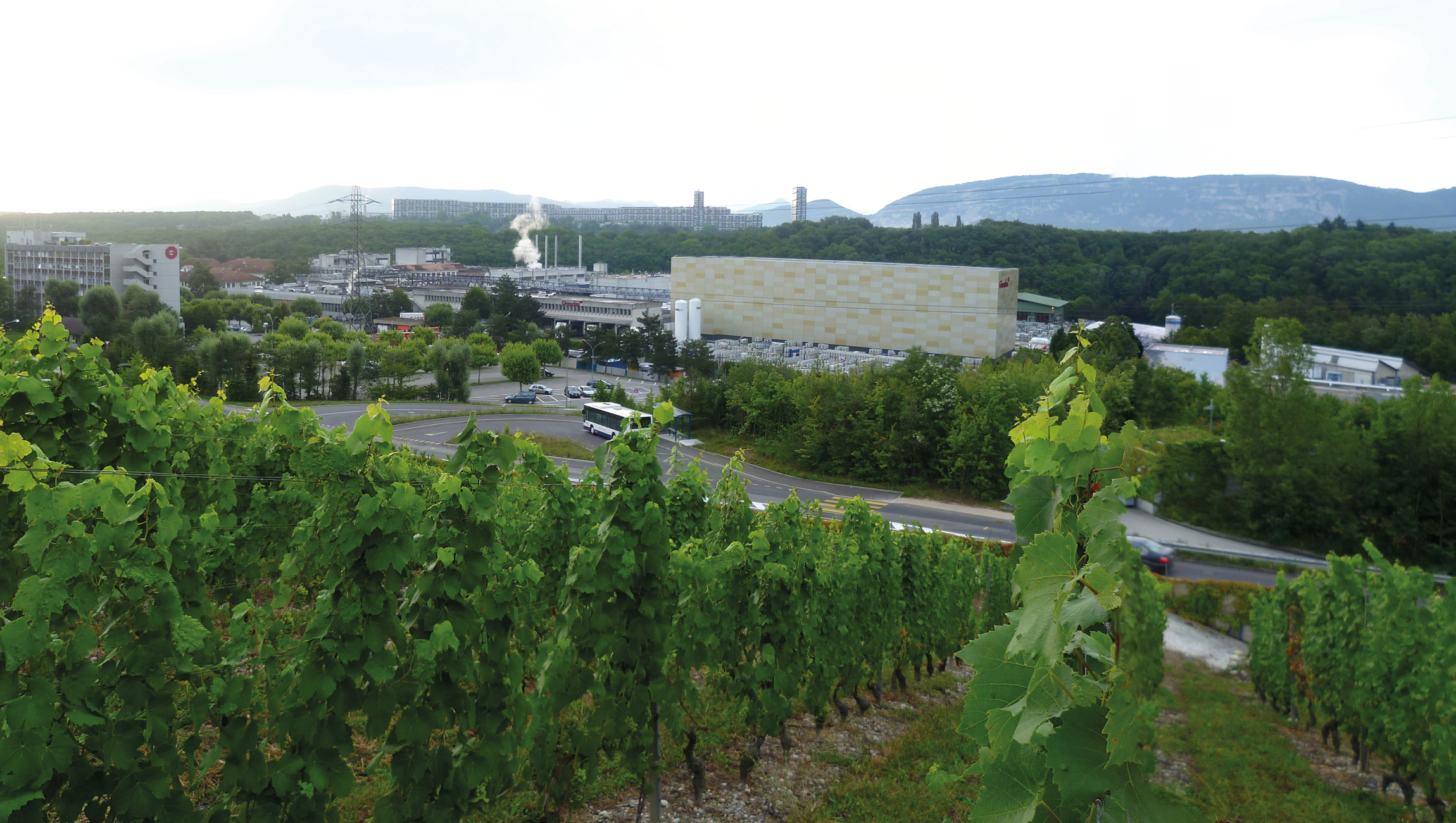 Loge d'accueil & Clover Givaudan