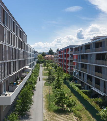 Ecoquartier - Les Vergers
