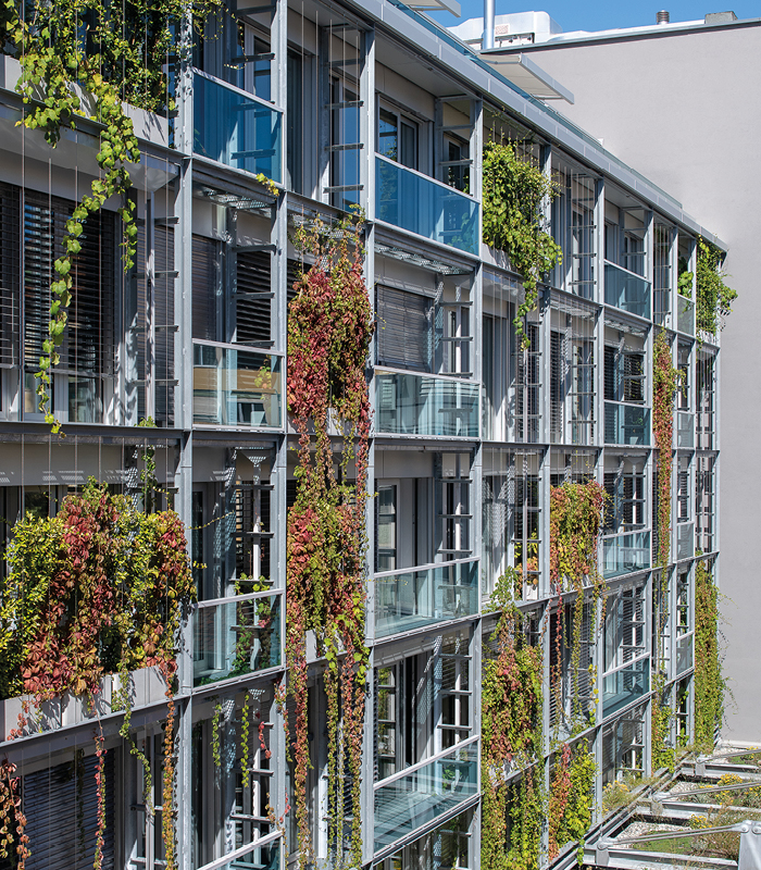 Façades Rue du Nant