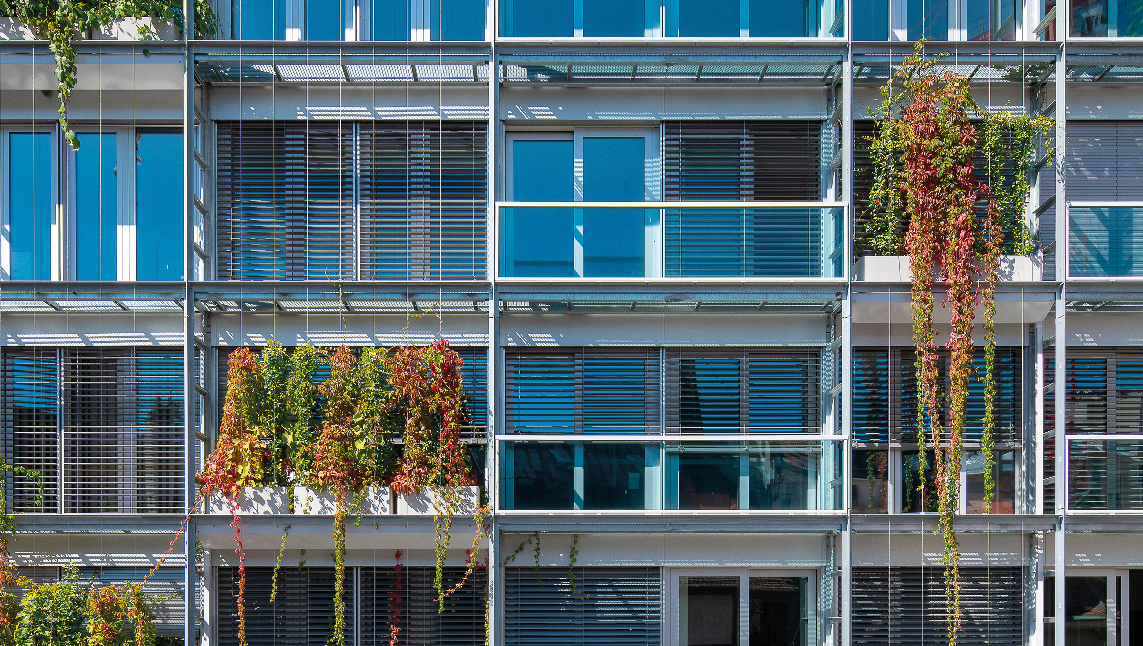 Façades Rue du Nant