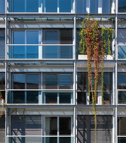 Façades Rue du Nant