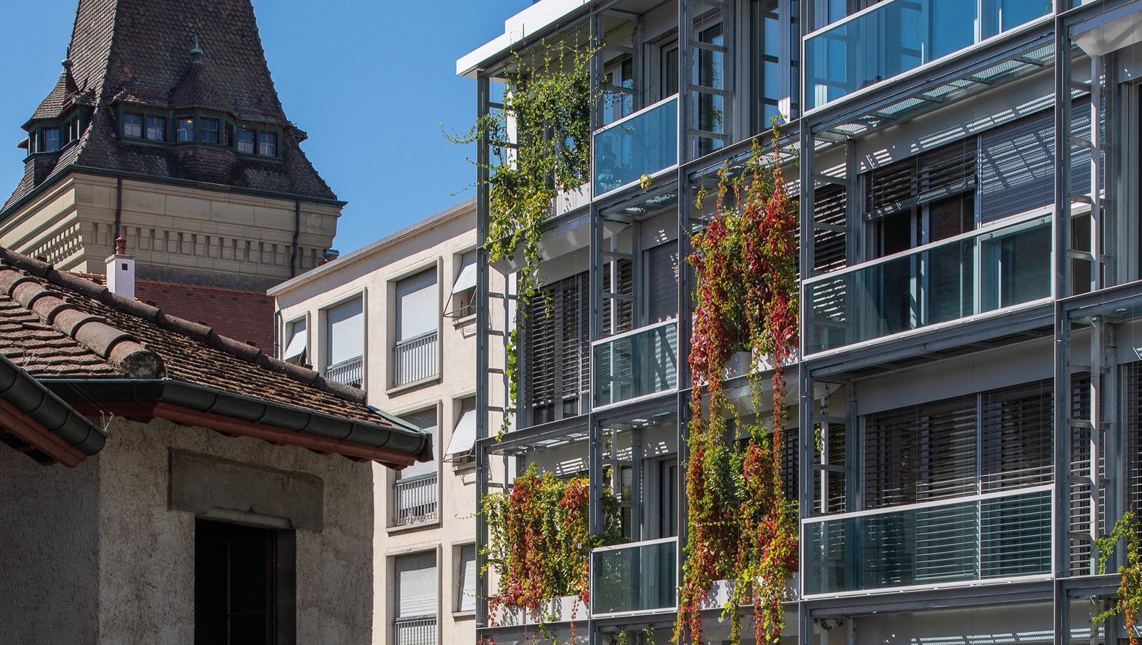 Façades Rue du Nant