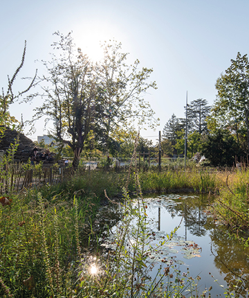 Parc Louis-Bertrand