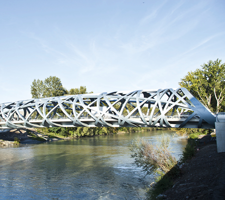 Pont Hans Wilsdorf